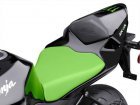 Kawasaki ZX-6R Monster Energy Special Edition